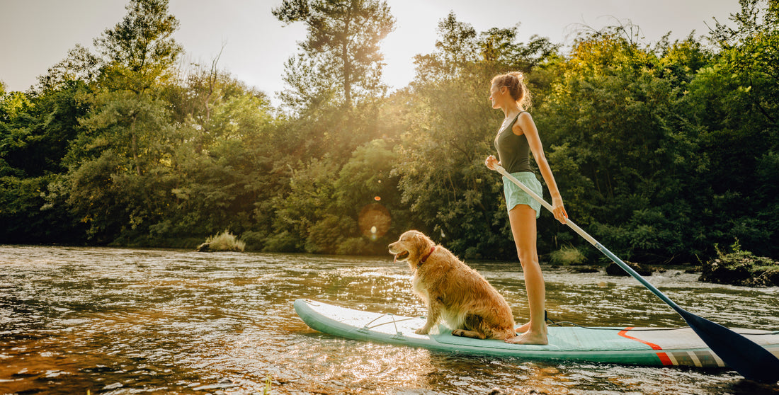 The Green Paddler's Guide: Eco-Friendly Stand-Up Paddleboard Choices